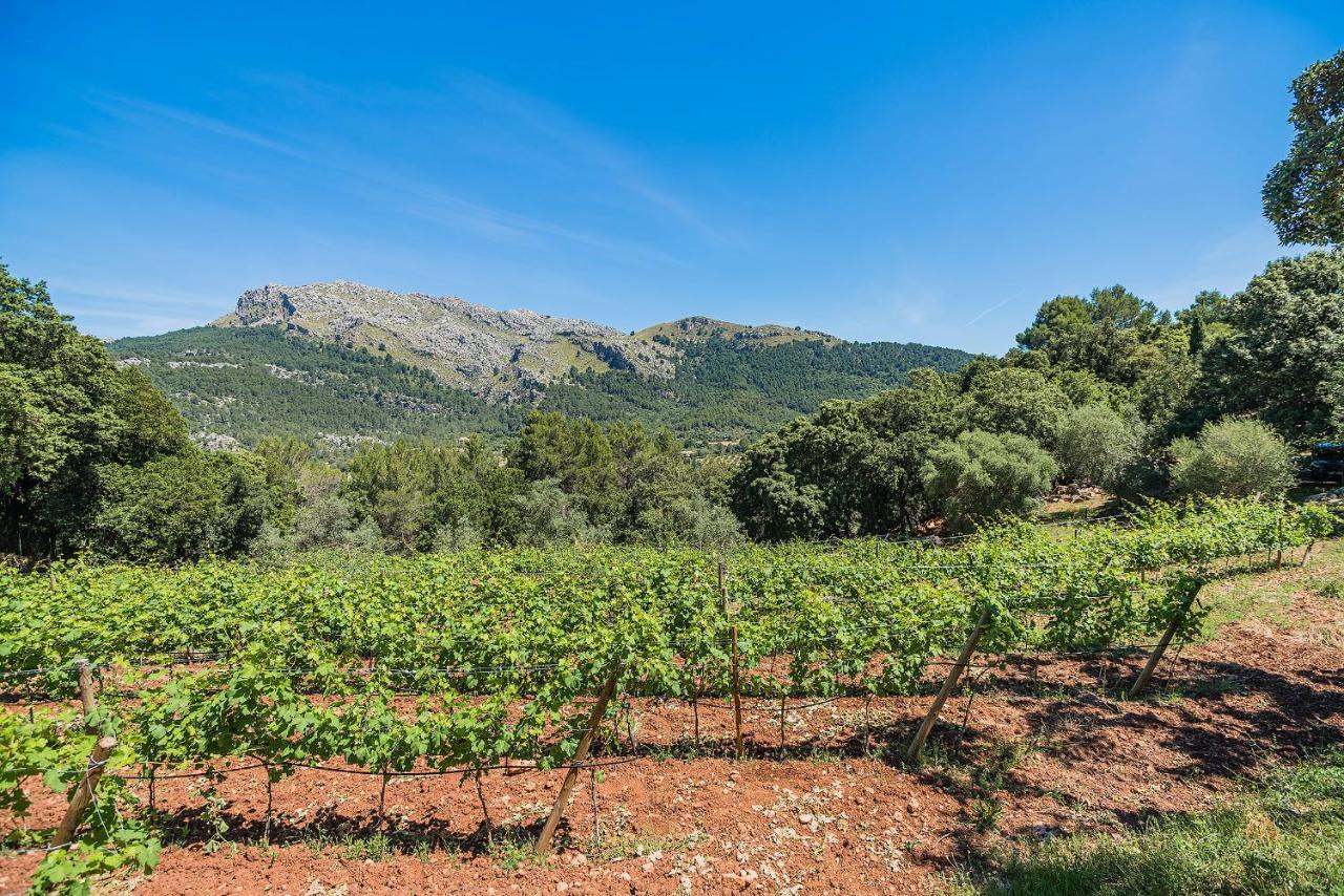 Villa Picassa Pollensa Exterior foto